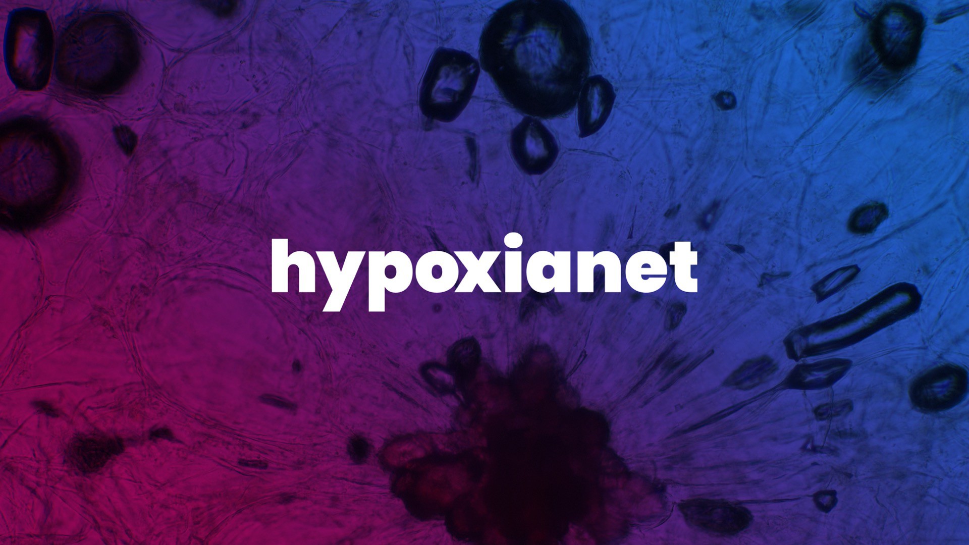 Hypoxianet